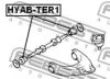 FEBEST HYAB-TER1 Control Arm-/Trailing Arm Bush